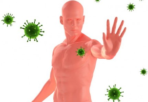 Herpes and the Immune System