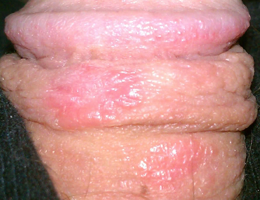 wife anal sex tube